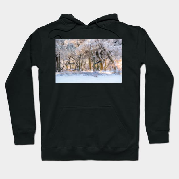 Winter wonderland Hoodie by geoffshoults